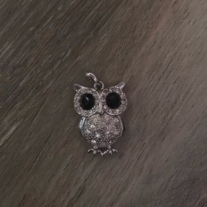 Silver owl charm